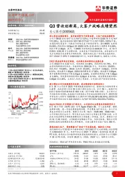 Q3营收创新高，大客户战略成绩斐然