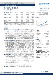 公司点评报告，改革途中,静待花开