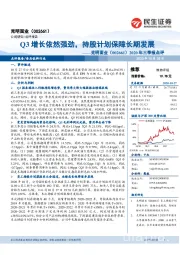 2020年三季报点评:Q3增长依然强劲,持股计划保障长期发展
