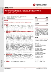 爱美客跟踪点评：嗨体带动Q3业绩超预期，医美龙头增长潜力持续爆发