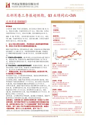 北部湾港三季报超预期,Q3业绩同比+26%