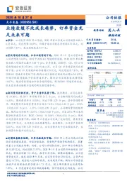 业绩放缓不改成长趋势，订单资金充足未来可期