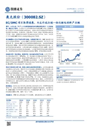 ECDMC项目取得进展，内生外延打造一体化锂电材料产业链