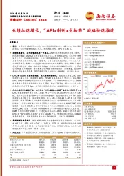 2020年三季报点评：业绩加速增长，“API+制剂+生物药”战略快速推进