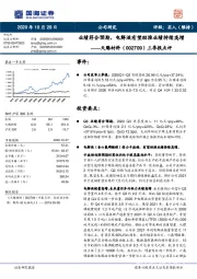 三季报点评：业绩符合预期，电解液有望助推业绩持续高增