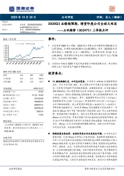 三季报点评:2020Q3业绩超预期,增资印度公司全球大布局