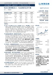 三季报业绩点评:电表业务持续发力,电站投资未来可期