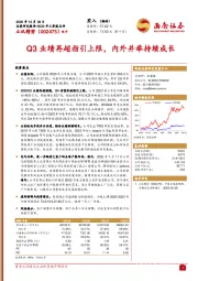 Q3业绩再超指引上限，内外并举持续成长