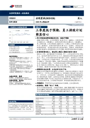 2020年三季报点评：三季度低于预期，员工持股计划彰显信心