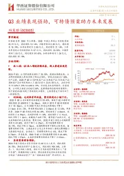 Q3业绩表现强劲，可转债预案助力未来发展