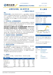 龙蟠科技三季报点评：业绩符合预期，Q3淡季不淡