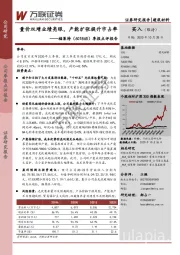 季报点评报告：量价双增业绩亮眼，产能扩张提升市占率