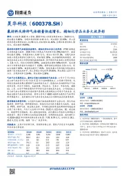 氟材料及特种气体销量快速增长，精细化学品业务大放异彩