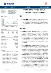 三季报点评：业绩高增超预期，正极龙头扬帆起航