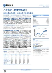 Q3业绩反弹高增，关注北美市场发展潜质