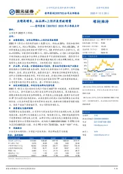 2020年三季报点评:业绩高增长,拓品牌+上佰并表贡献增量