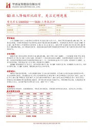 Q3收入降幅环比收窄,关注定增进展