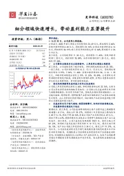 细分领域快速增长,带动盈利能力显著提升
