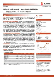 2020年三季报点评:国内市场下半年表现优异,推动三季度业绩超预期增长