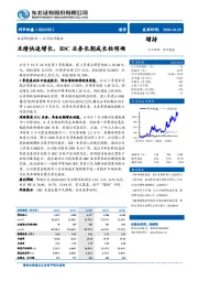 业绩快速增长,IDC业务长期成长性明确