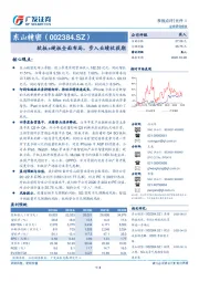 软板+硬板全面布局，步入业绩收获期