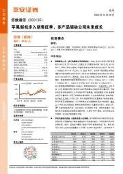 苹果新机步入销售旺季，多产品驱动公司未来成长