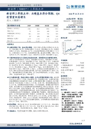 新宙邦三季报点评：业绩基本符合预期，Q4有望重回高增长