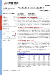 公司信息更新报告：华为抢单效应持续，2020Q3业绩高速增长