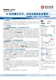 2020年三季报点评：Q3实现量价齐升，未来发展具备多看点