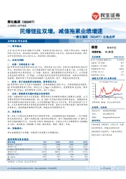 公告点评：民爆锂盐双增，减值拖累业绩增速