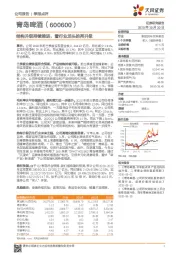 结构升级持续推进，看行业龙头的再升级