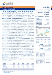 多项目逐步建成,公司有望持续成长