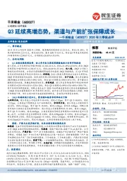 2020年三季报点评：Q3延续高增态势，渠道与产能扩张保障成长