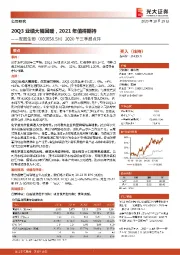 2020年三季报点评:20Q3业绩大幅回暖,2021年值得期待