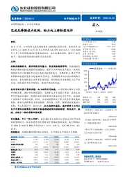 完成先锋微技术收购，助力向上游转型延伸