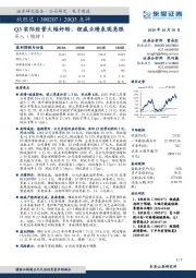 20Q3点评：Q3实际经营大幅好转，锂威业绩表现亮眼