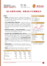 Q3业绩符合预期，预期Q4开启稳健成长