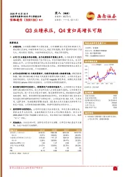 Q3业绩承压，Q4重归高增长可期