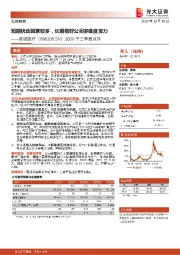 2020年三季报点评：短期扰动因素较多，长期看好公司多维度发力