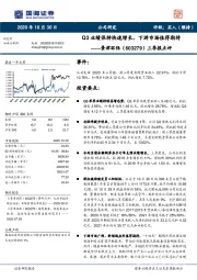 三季报点评：Q3业绩保持快速增长，下游市场值得期待