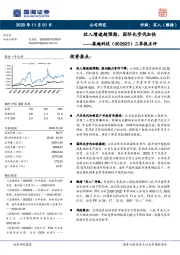 三季报点评：收入增速超预期，国际化步伐加快