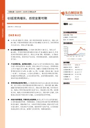 2020三季报点评：Q3延续高增长，后续发展可期