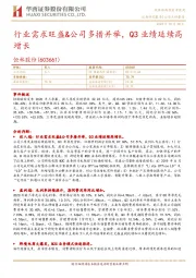 行业需求旺盛&公司多措并举,Q3业绩延续高增长