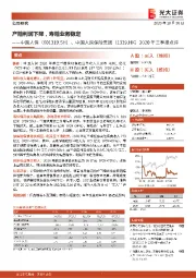 2020年三季报点评：产险利润下降，寿险业务稳定