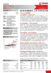 Q3营收稳健增长，全年目标完成可期