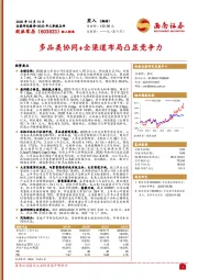 多品类协同+全渠道布局凸显竞争力