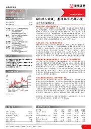 Q3收入回暖，赛道龙头逻辑不变