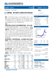 Q3业绩亮眼，需求高景气&跨境电商布局迎收获