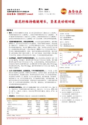 葵花籽维持稳健增长，坚果类动销回暖