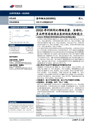 2020年三季度报告点评:20Q3净利润同比增幅显著,全球化、多品种布局体现出良好的抗风险能力
